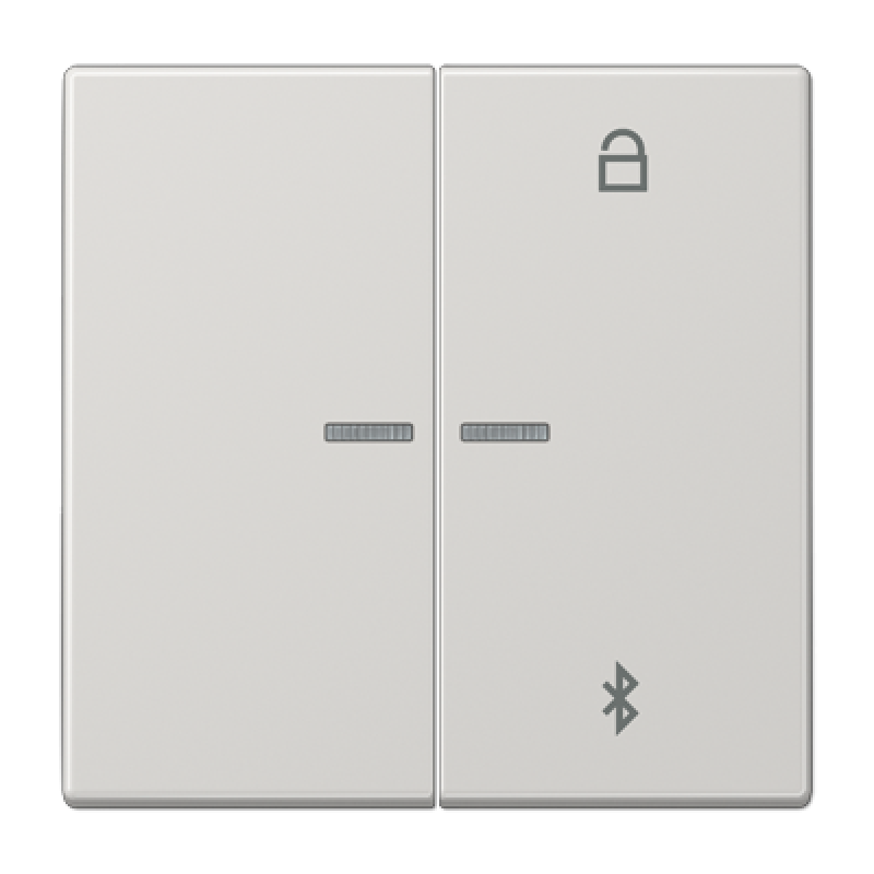 Таймер універсальний Bluetooth LS1751BTLG