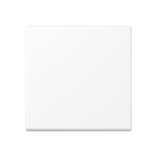 Kлавіша одинарна JUNG A590WWM матова біла