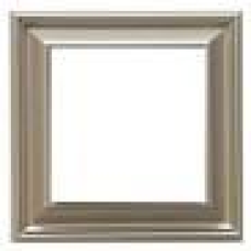 Рамка 1 пост JUNG ECO PROFI DECO шампань EPD481CH