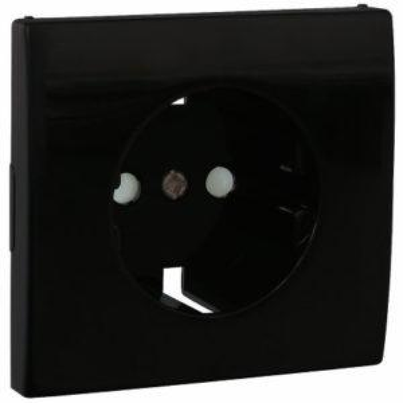 Центральна панель розетки із заслінкою 2P+Z, ШУКО Чорний, 50632 TPT, Efapel APOLO 5000 Центральна панель розетки із заслінкою 2P+Z, ШУКО Чорний, 50632 TPT, Efapel APOLO 5000