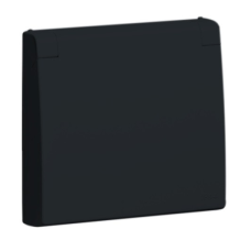 Центральна панель розетки з кришкою 2P+Z, ШУКО (IP44) Чорний матовий, 50634 TPM, Efapel APOLO 5000