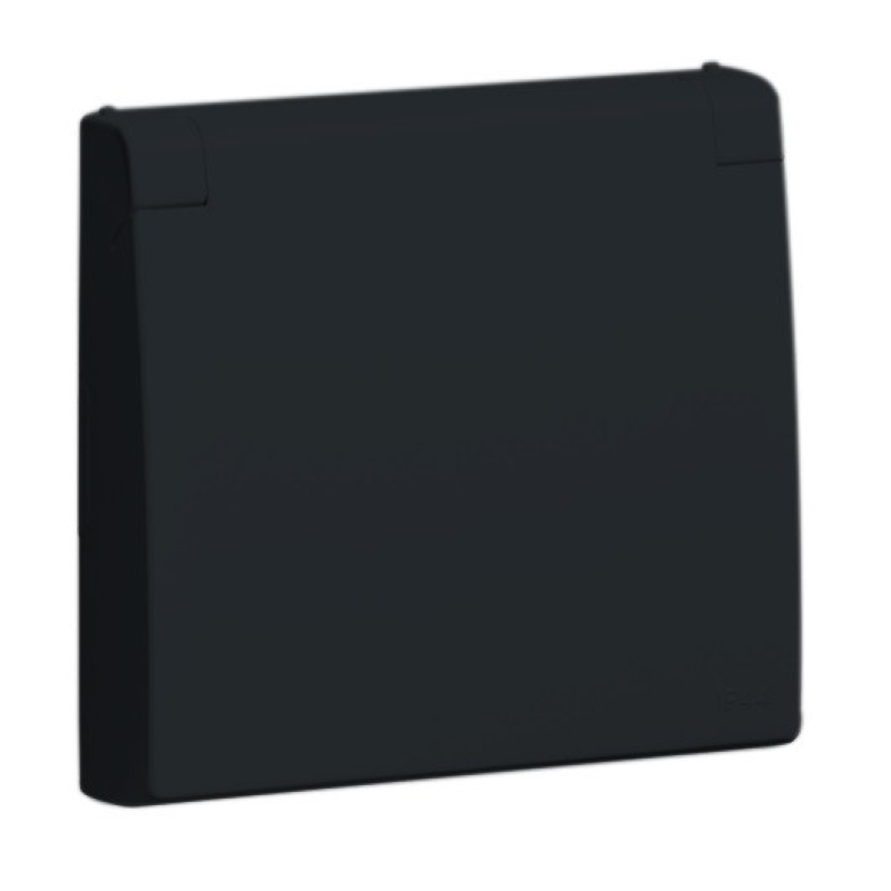 Центральна панель розетки з кришкою 2P+Z, ШУКО (IP44) Чорний матовий, 50634 TPM, Efapel APOLO 5000 Центральна панель розетки з кришкою 2P+Z, ШУКО (IP44) Чорний матовий, 50634 TPM, Efapel APOLO 5000