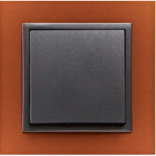 Рамка одинарна ANIMATO темно-жовтогарячий/графіт 90910 TTS